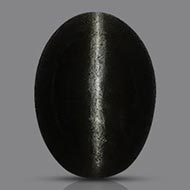 Black Cats Eye - 4.70 carats