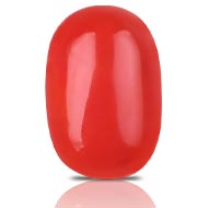 Red Japanese Coral - 10.06 carats