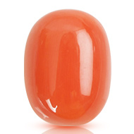 Red Japanese Coral - 11.28 carats