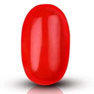 Red Japanese Coral - 9.63 carats