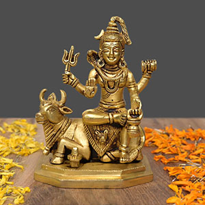 Bhagwan Shiva on Nandi Brass Idol