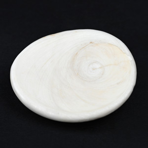 Gomati Chakra Large