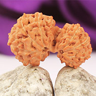 Garbh Gauri from Java Indonesia