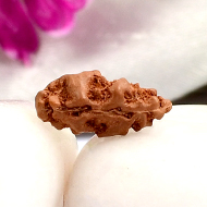 Collector One mukhi from Java - LXXIX