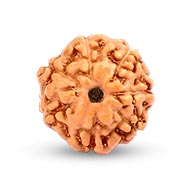 Seven Mukhi from Java Indonesia