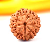 Nine Mukhi from Java Indonesia