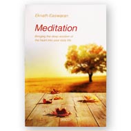 Meditation - Translate spiritual ideals into daily life
