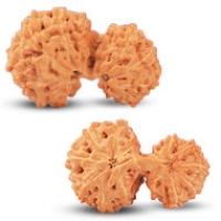Java (Indonesian) Rudraksha